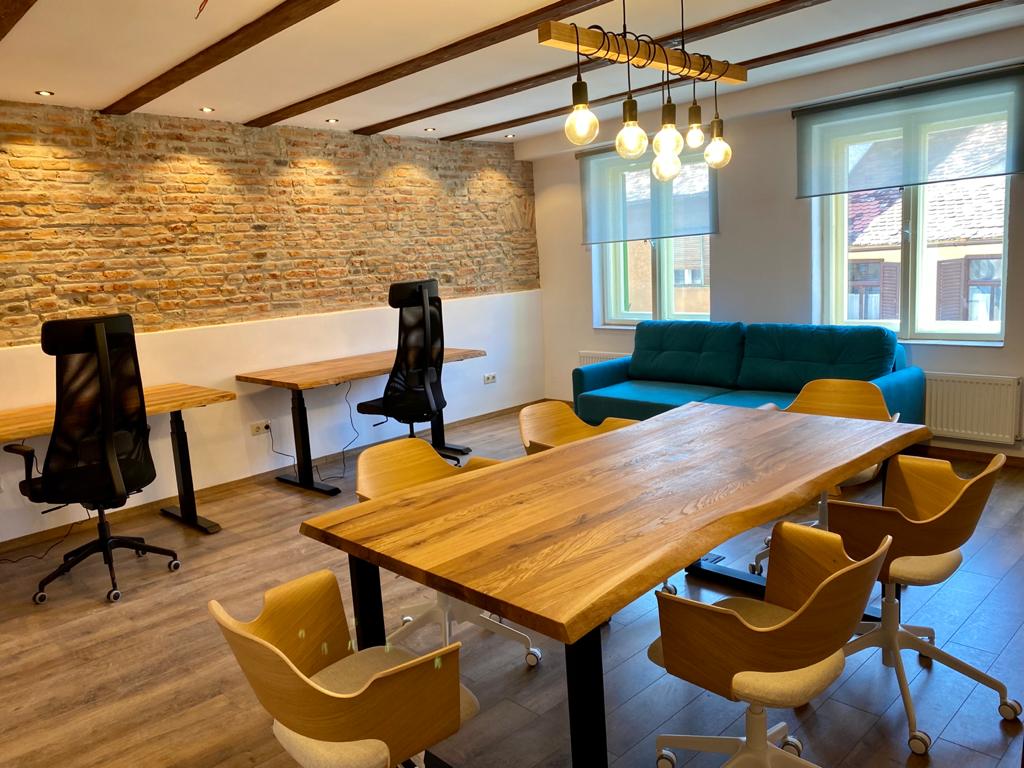 OUR BUSINESS INTRODUCTION